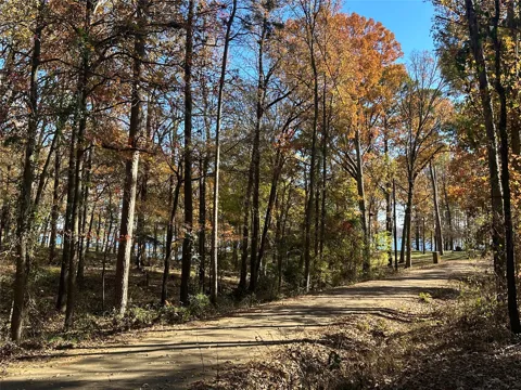 Lot 58 County Road 2938