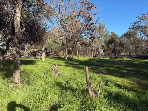 3606 Oleander