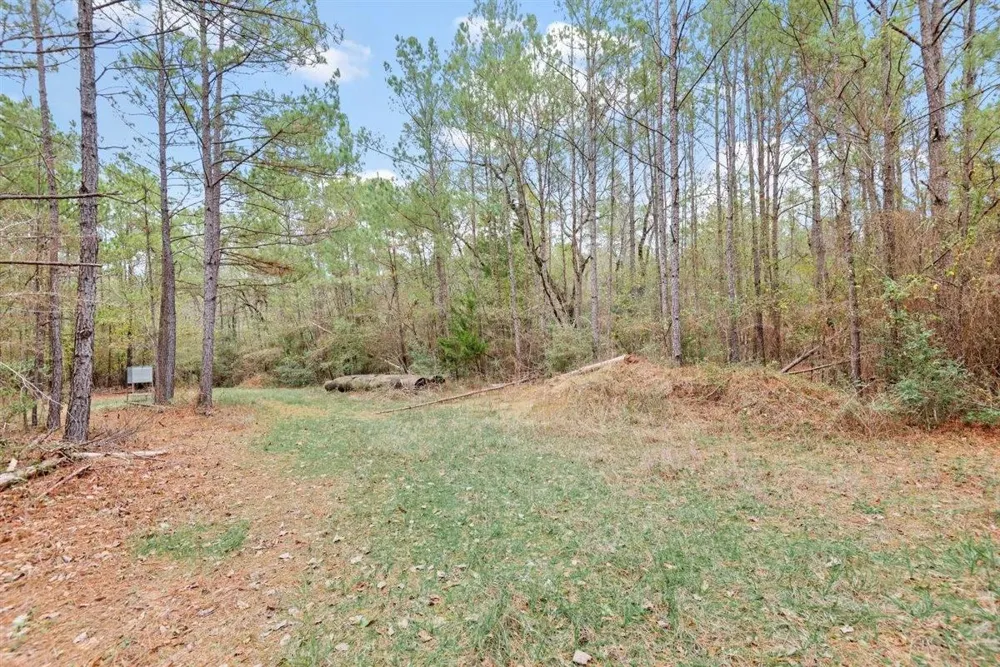12895 County Road 201 Plantersville, TX 77363