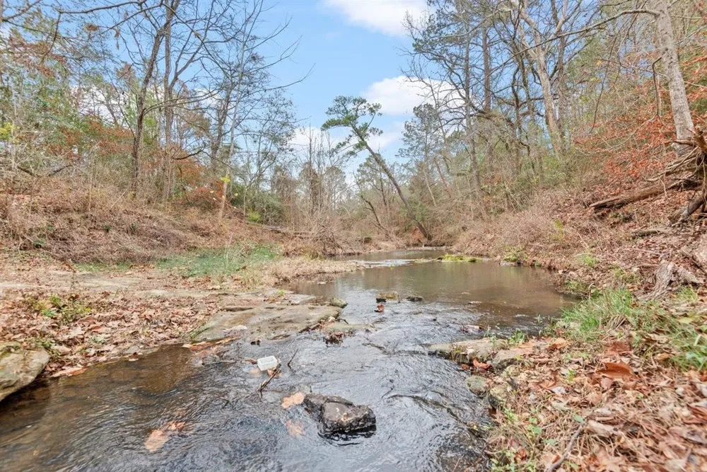 12895 County Road 201 Plantersville, TX 77363