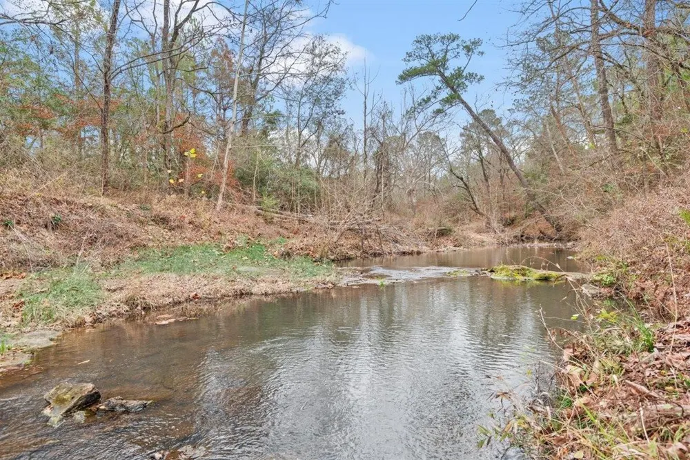 12895 County Road 201 Plantersville, TX 77363