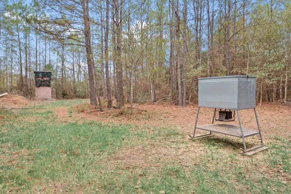 12895 County Road 201 Plantersville, TX 77363