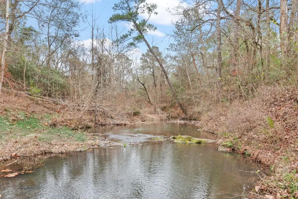 12895 County Road 201 Plantersville, TX 77363
