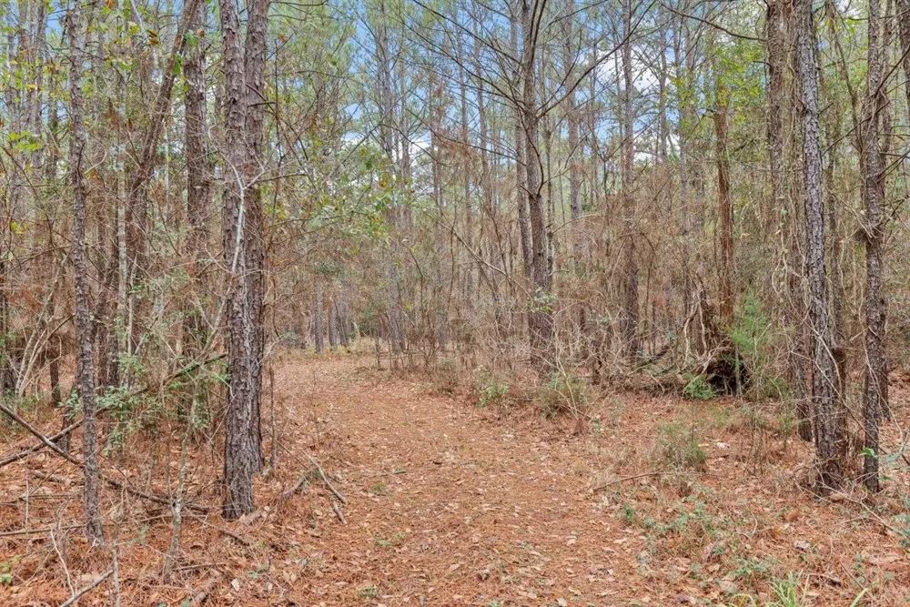 12895 County Road 201 Plantersville, TX 77363
