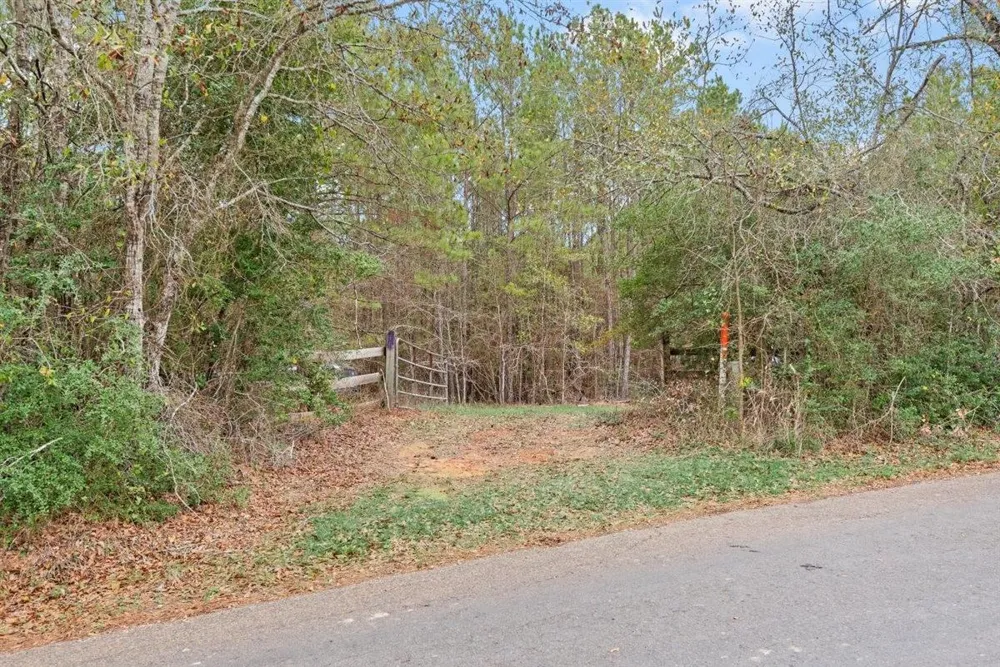 12895 County Road 201 Plantersville, TX 77363