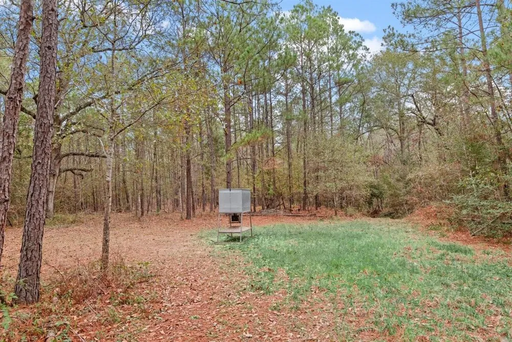 12895 County Road 201 Plantersville, TX 77363