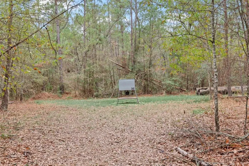 12895 County Road 201 Plantersville, TX 77363