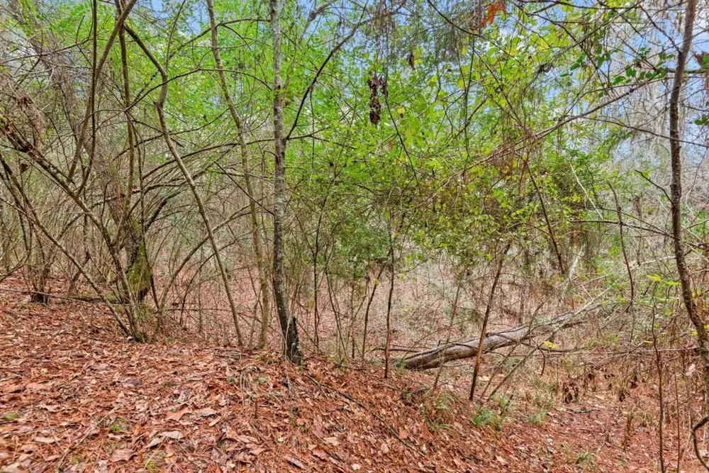 12895 County Road 201 Plantersville, TX 77363