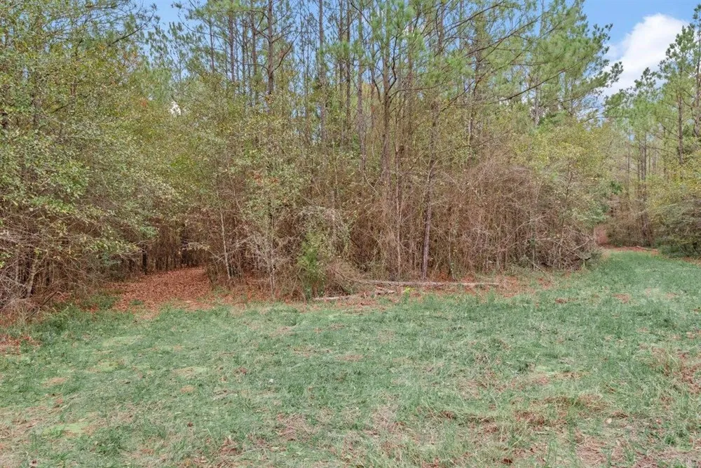 12895 County Road 201 Plantersville, TX 77363