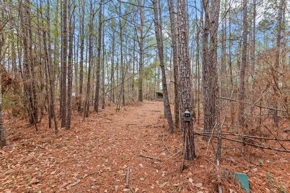 12895 County Road 201 Plantersville, TX 77363