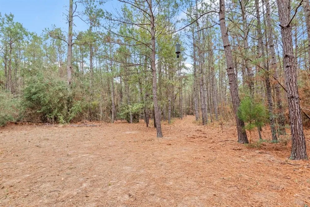 12895 County Road 201 Plantersville, TX 77363