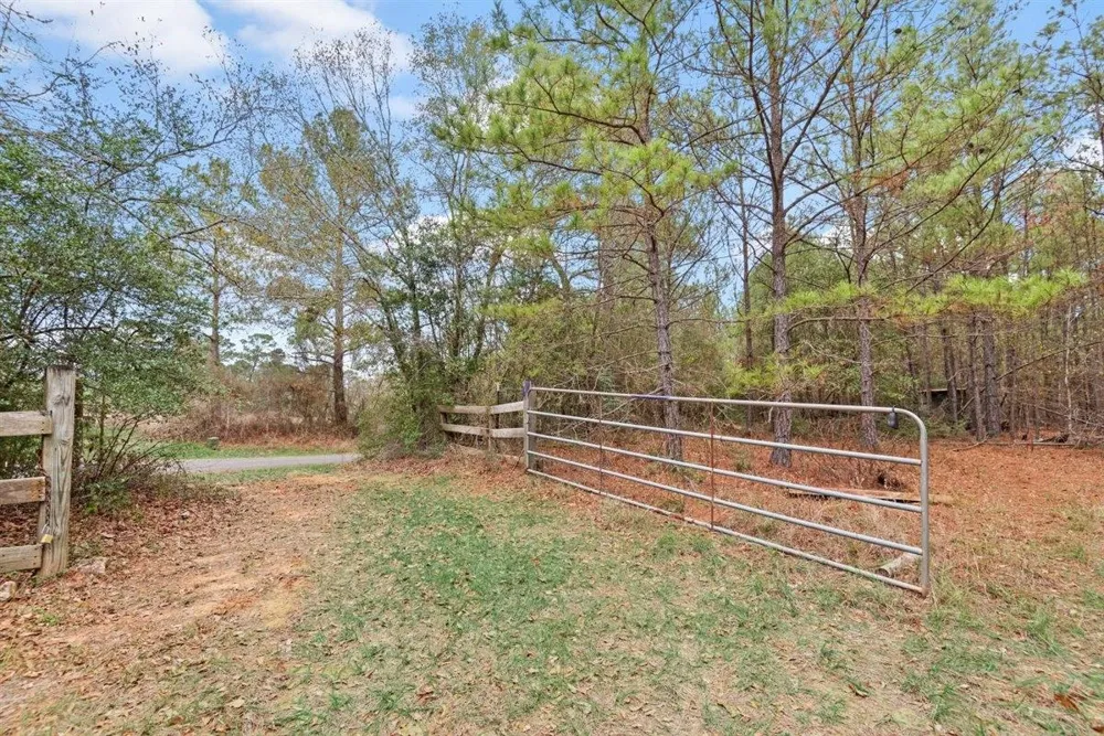 12895 County Road 201 Plantersville, TX 77363