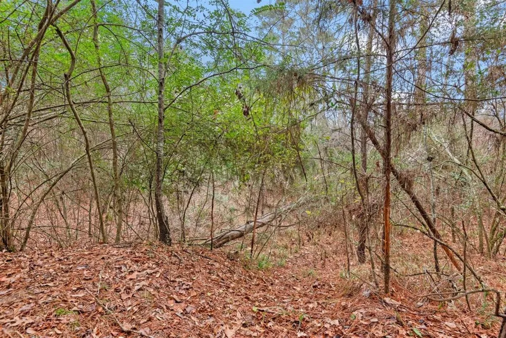 12895 County Road 201 Plantersville, TX 77363