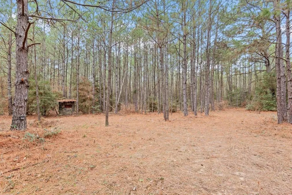 12895 County Road 201 Plantersville, TX 77363