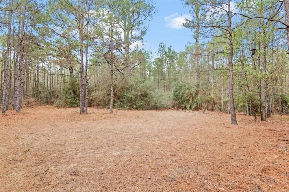 12895 County Road 201 Plantersville, TX 77363