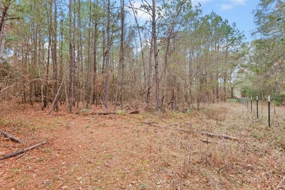 12895 County Road 201 Plantersville, TX 77363