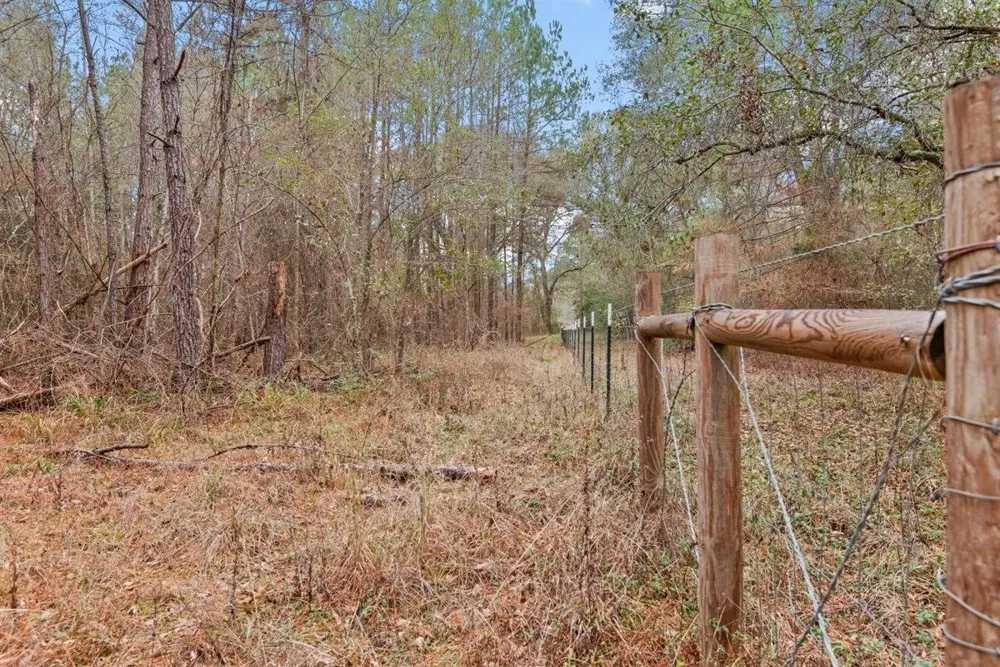 12895 County Road 201 Plantersville, TX 77363