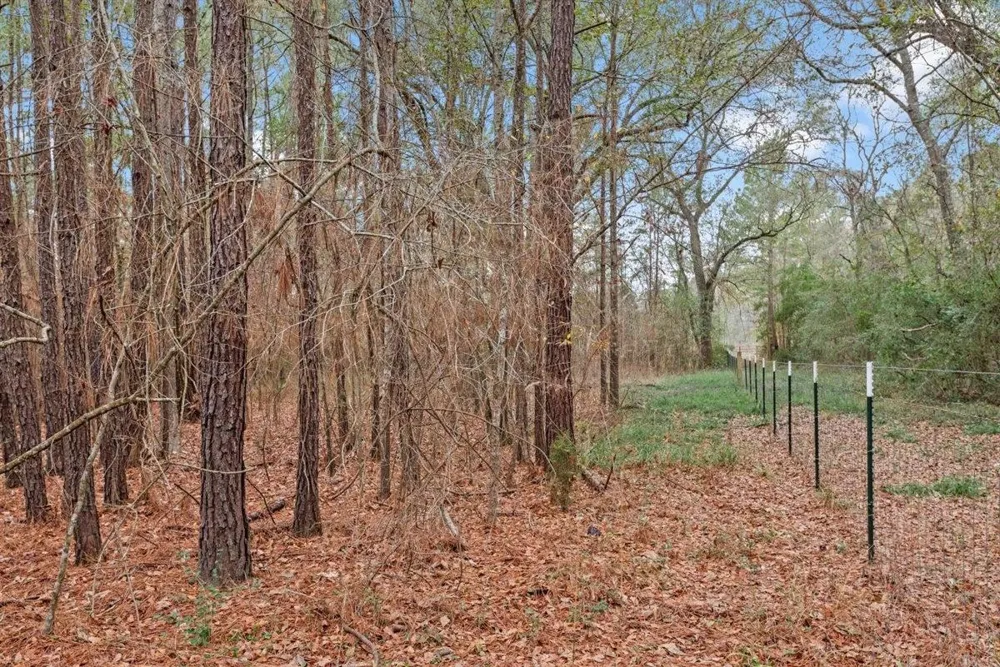 12895 County Road 201 Plantersville, TX 77363