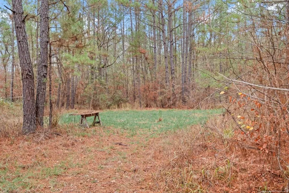12895 County Road 201 Plantersville, TX 77363
