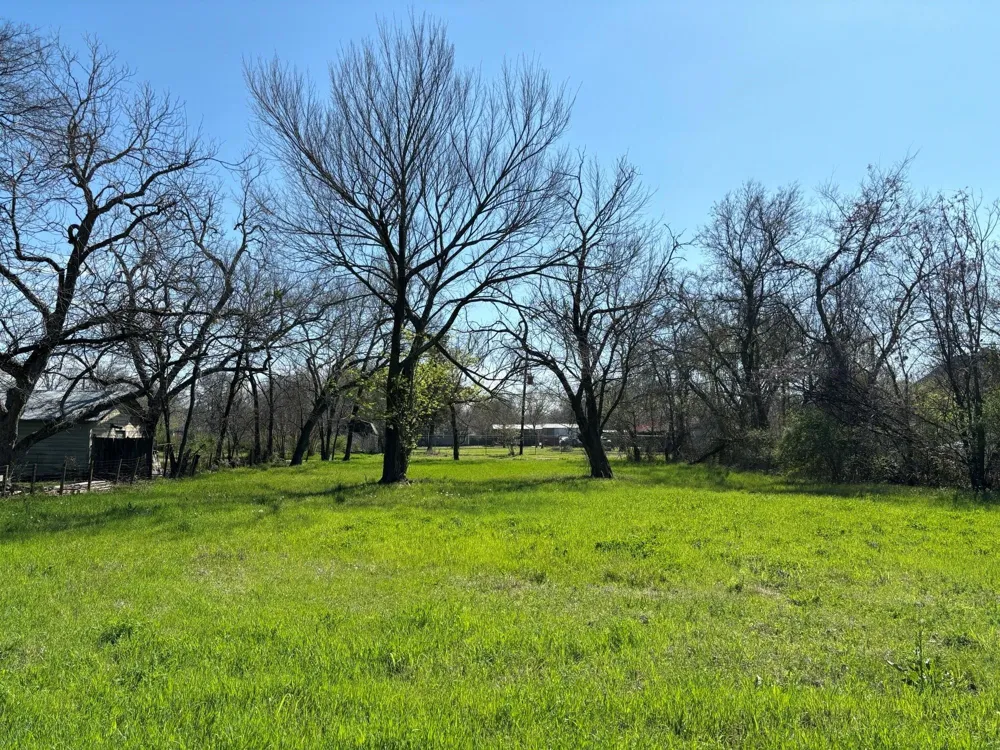 740 E Waco Avenue Cooper, TX 75432