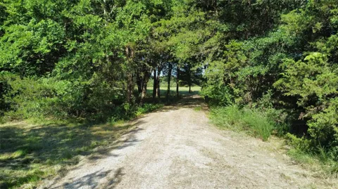 1979 County Road 1135