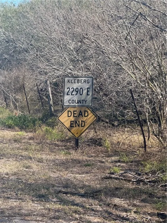 16 County Road 1110 S Riviera, TX 78379