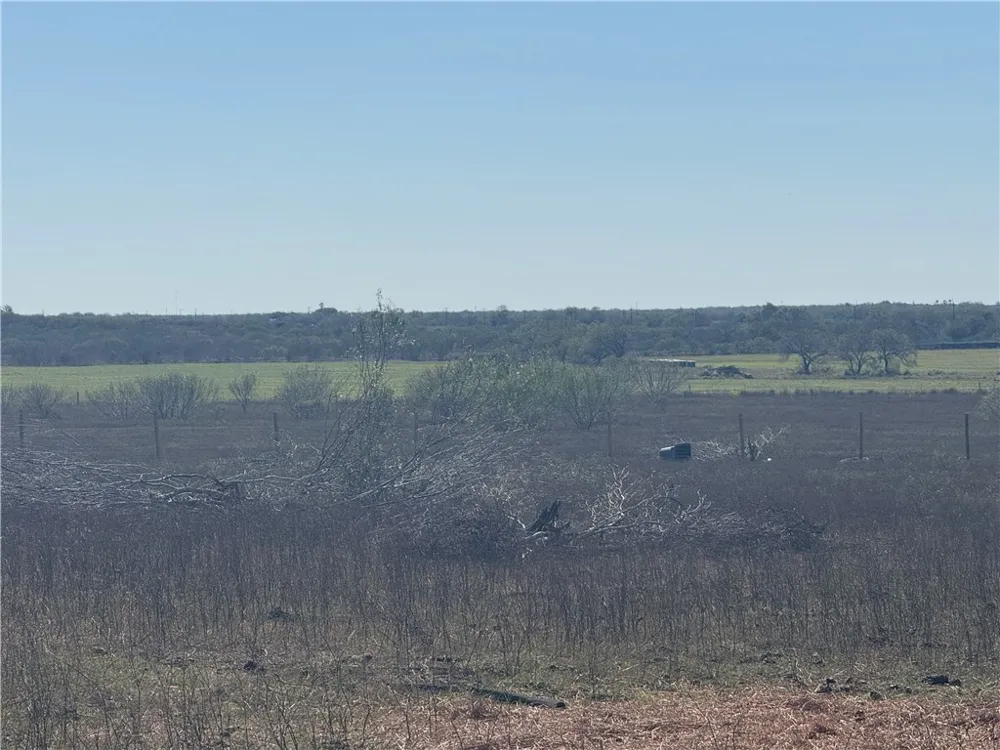 16 County Road 1110 S Riviera, TX 78379