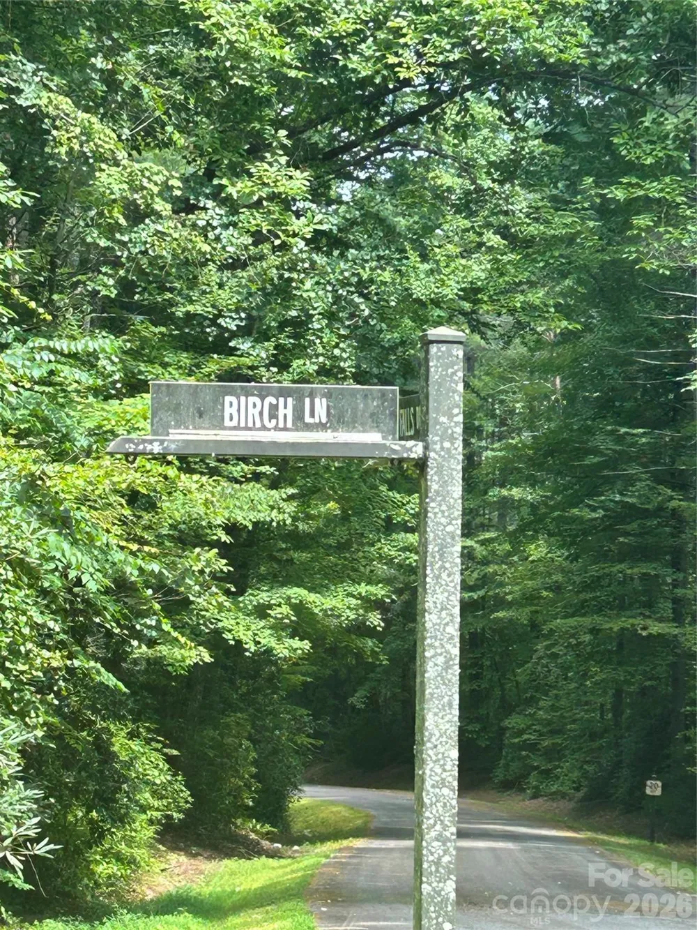 Lot 37 Birch Lane #37 Rosman, NC 28772