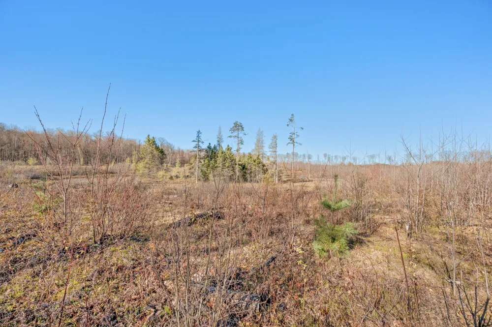 16107 12 Mile Road Leroy, MI 49655