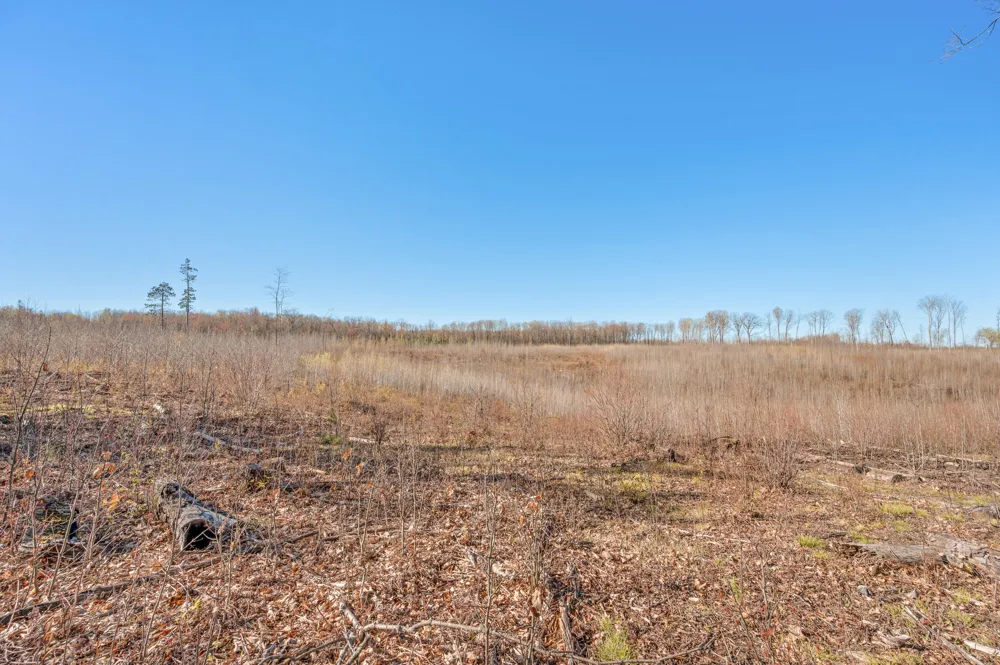 16107 12 Mile Road Leroy, MI 49655