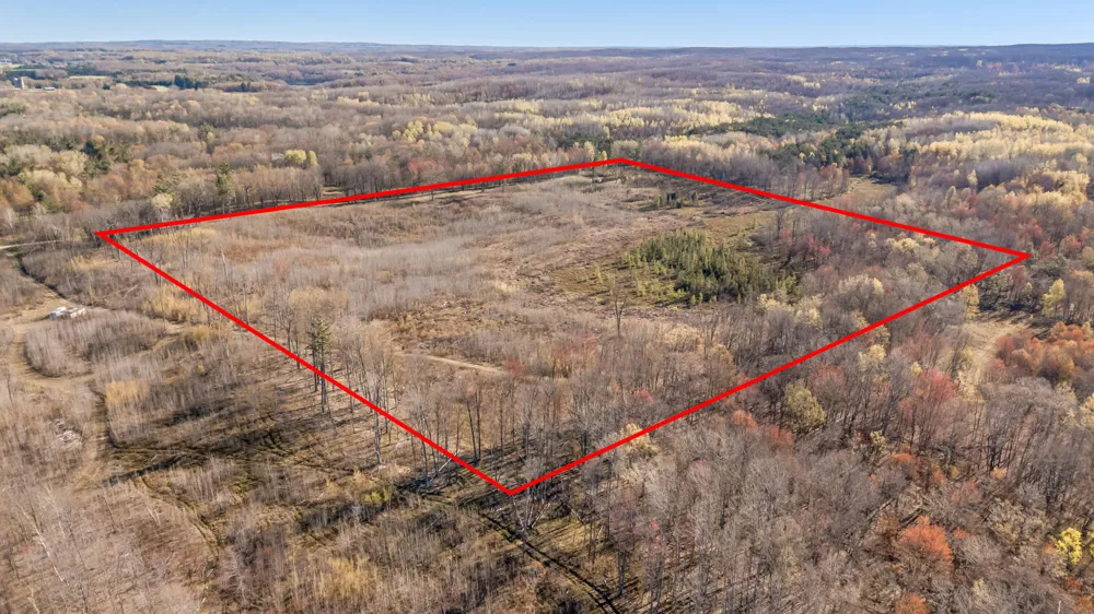 16107 12 Mile Road Leroy, MI 49655
