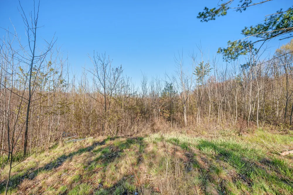 16107 12 Mile Road Leroy, MI 49655