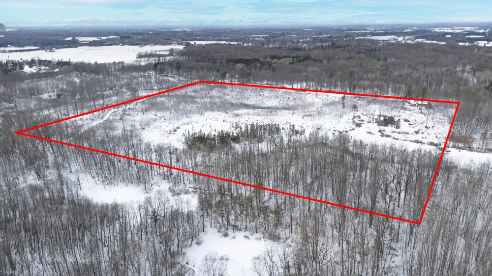 16107 12 Mile Road Cedar Township, MI 49655