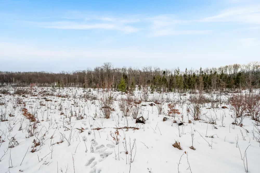 16107 12 Mile Road Cedar Township, MI 49655