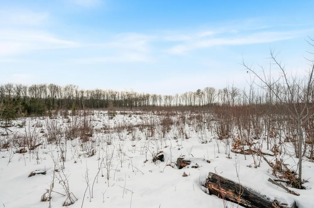 16107 12 Mile Road Cedar Township, MI 49655