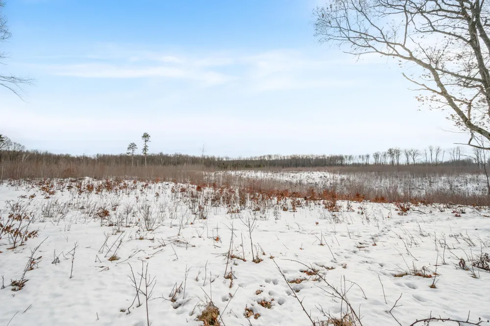16107 12 Mile Road Cedar Township, MI 49655