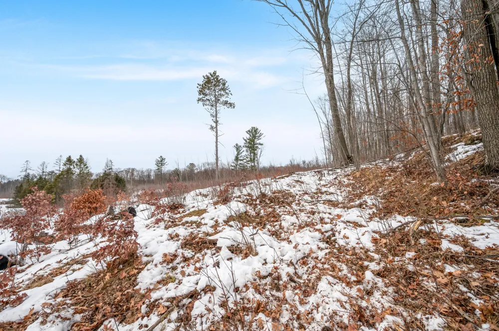 16107 12 Mile Road Cedar Township, MI 49655