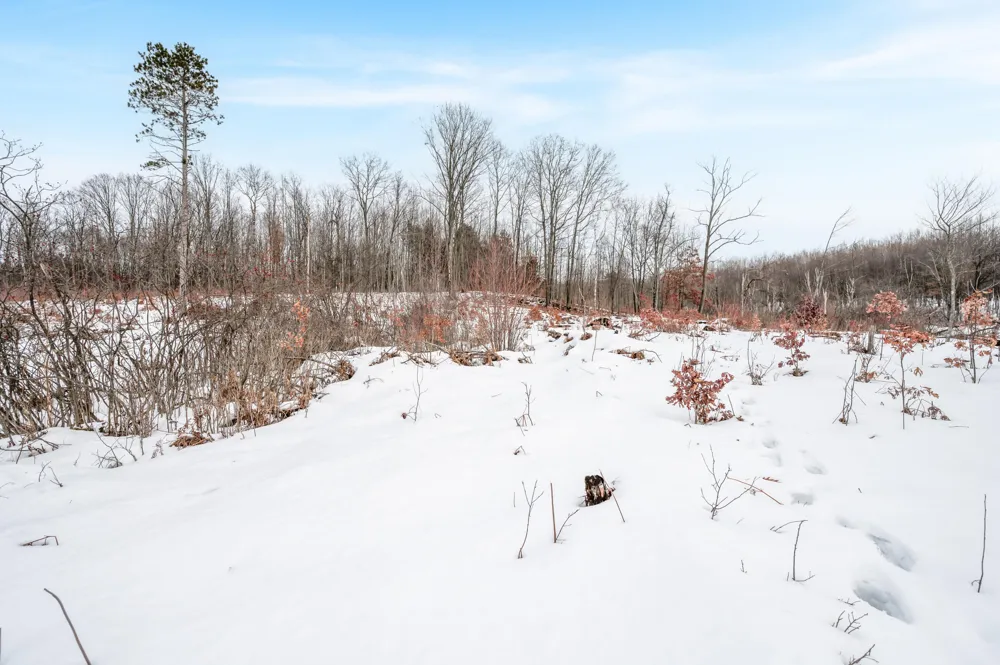 16107 12 Mile Road Cedar Township, MI 49655