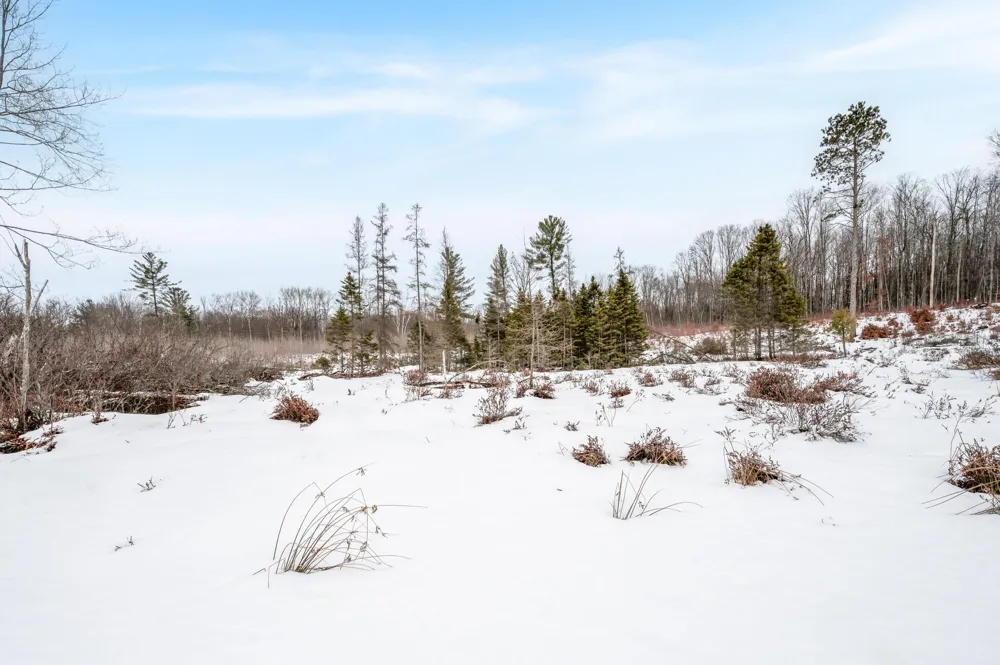 16107 12 Mile Road Cedar Township, MI 49655