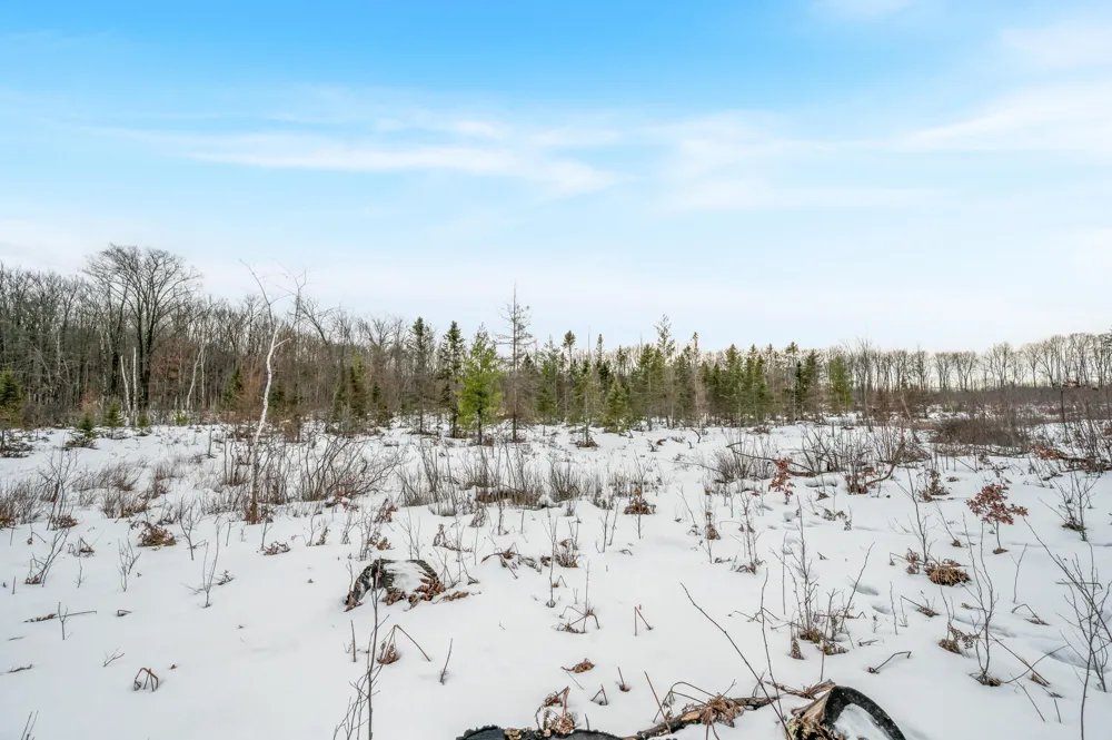 16107 12 Mile Road Cedar Township, MI 49655