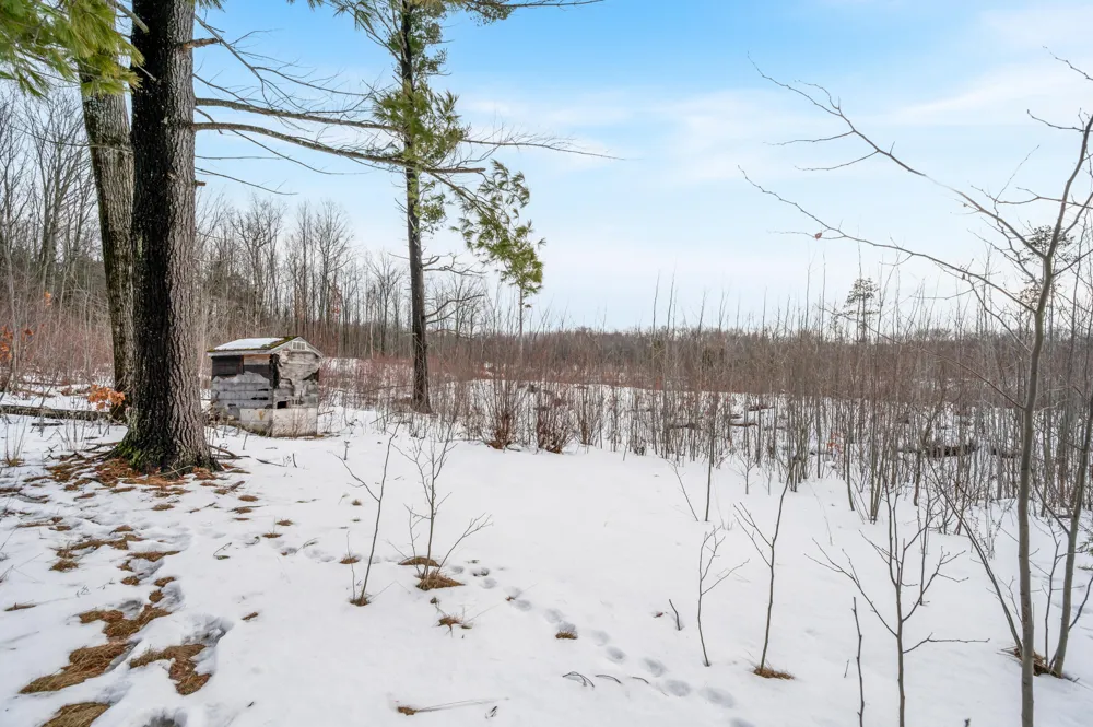 16107 12 Mile Road Cedar Township, MI 49655