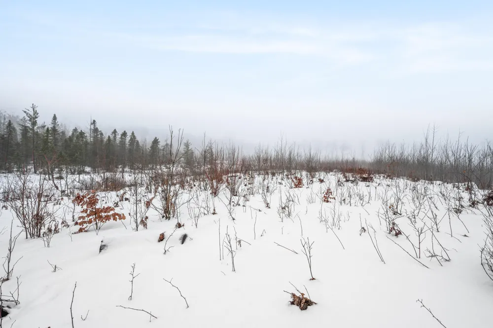 16107 12 Mile Road Cedar Township, MI 49655