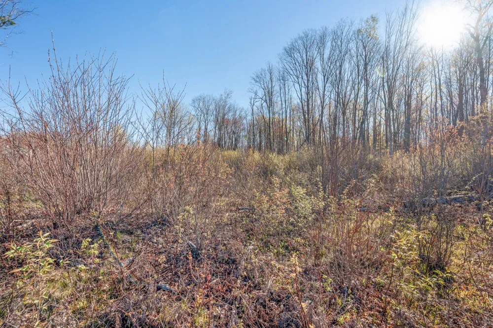 16107 12 Mile Road Cedar Township, MI 49655