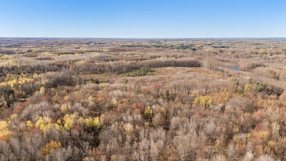 16107 12 Mile Road Cedar Township, MI 49655