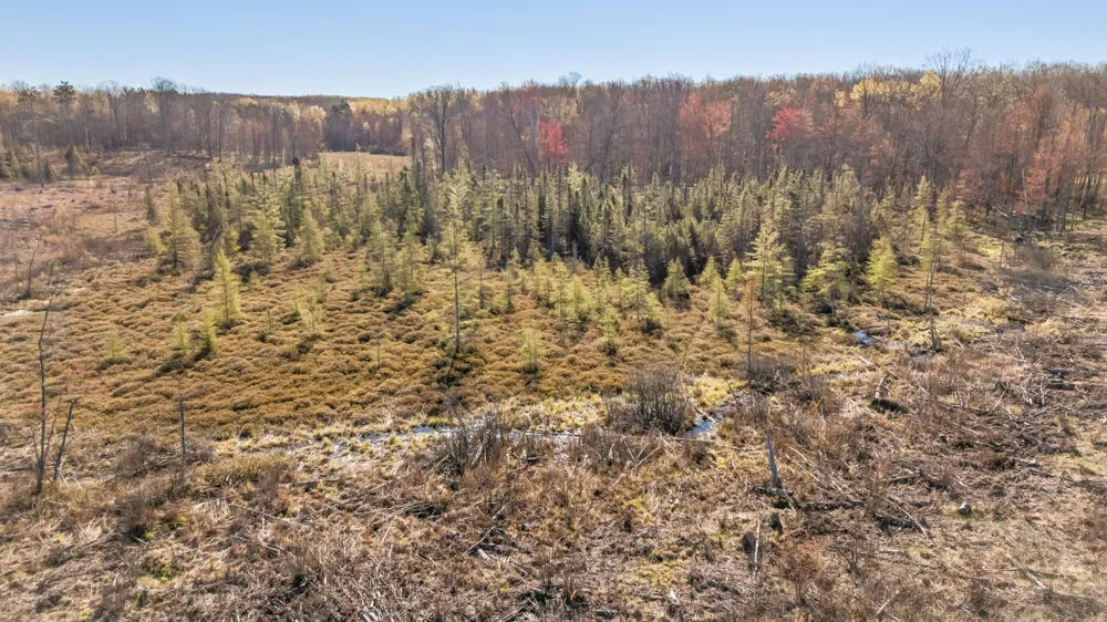 16107 12 Mile Road Cedar Township, MI 49655