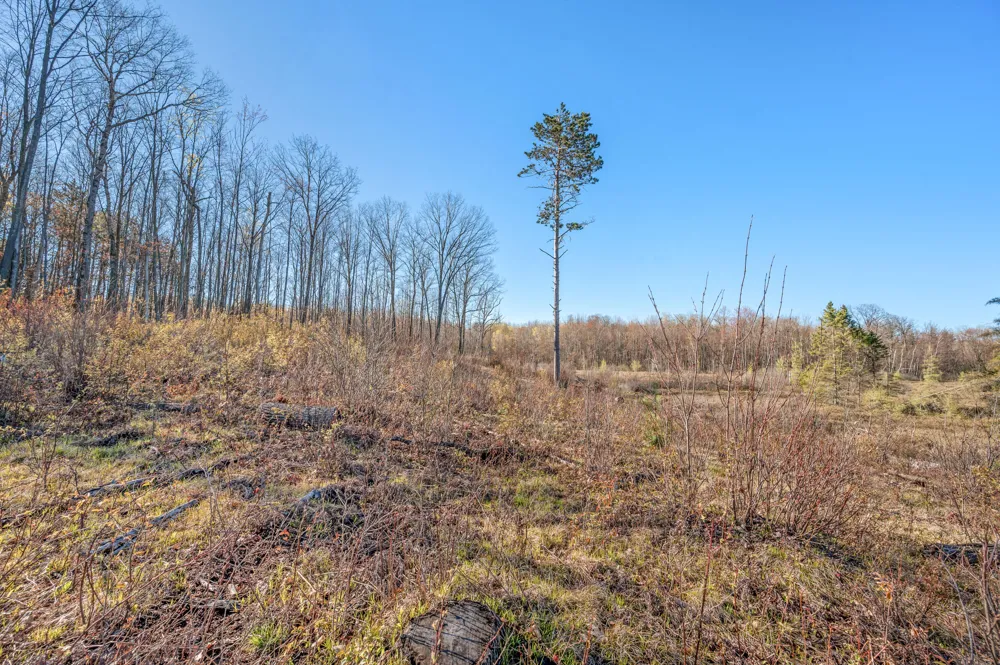 16107 12 Mile Road Cedar Township, MI 49655