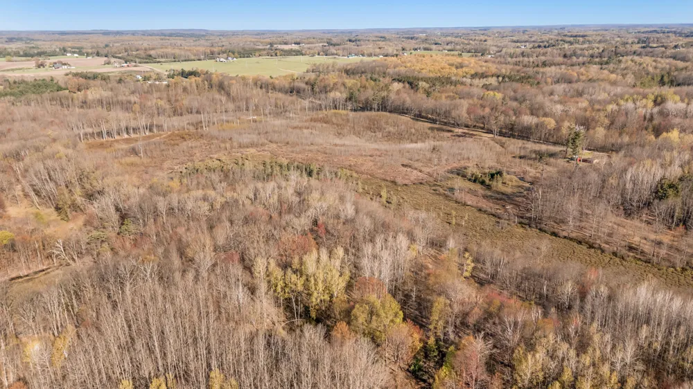 16107 12 Mile Road Cedar Township, MI 49655