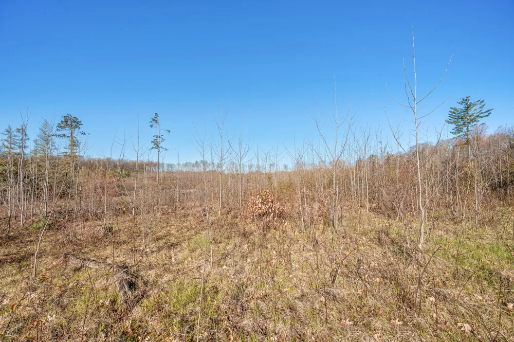 16107 12 Mile Road Cedar Township, MI 49655