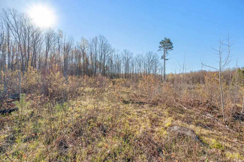 16107 12 Mile Road Cedar Township, MI 49655