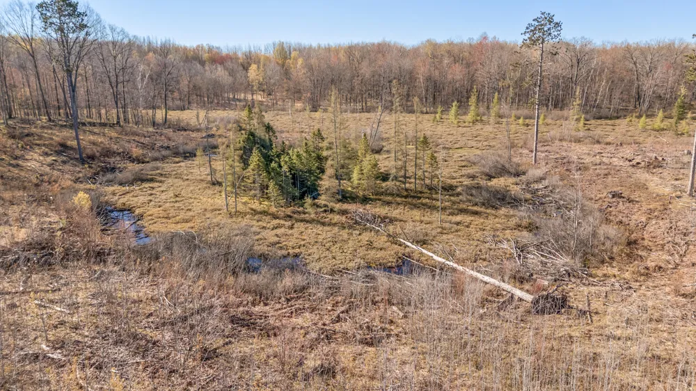 16107 12 Mile Road Cedar Township, MI 49655
